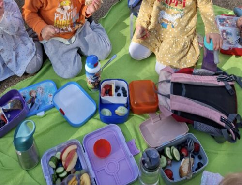 Picknick im Garten